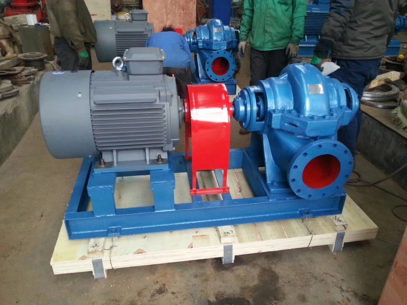 水蜜桃着色视频