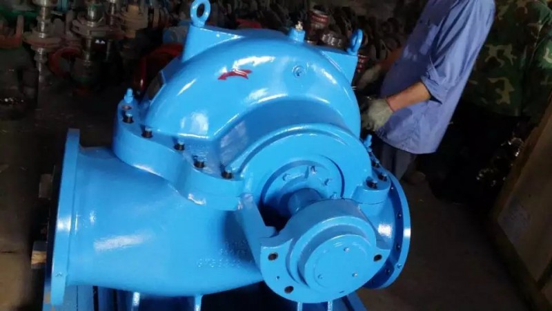 水蜜桃着色视频