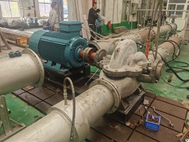 水蜜桃着色视频测试