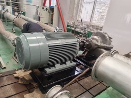 水蜜桃着色视频测试