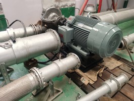 水蜜桃着色视频测试