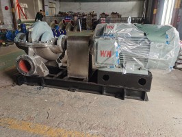 水蜜桃着色视频测试