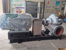 水蜜桃着色视频测试