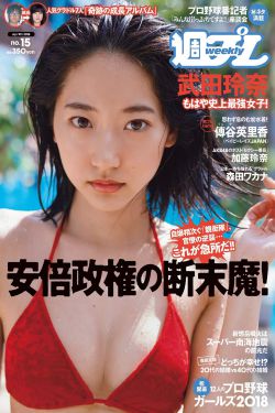 牛胆神偷