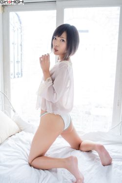 牛胆神偷
